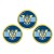5 Regiment Army Air Corps, British Army ER Golf Ball Markers