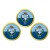 6 Regiment Army Air Corps, British Army ER Golf Ball Markers