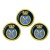 HMS Bleasdale, Royal Navy Golf Ball Markers