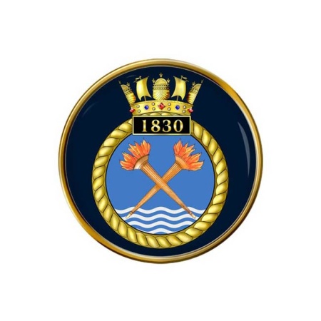 1830 Naval Air Squadron, Royal Navy Pin Badge