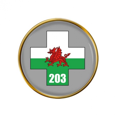 203 Field Hospital, British Army Pin Badge