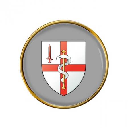 256 Field Hospital, British Army Pin Badge