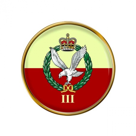 3 Regiment Army Air Corps, British Army ER Pin Badge