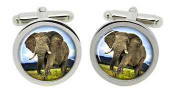 African Elephant Cufflinks in Chrome Box