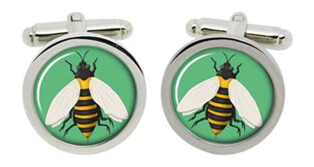 Bumble Bee Cufflinks in Chrome Box