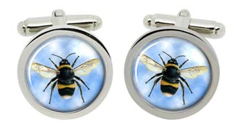 Bumblebee Cufflinks in Chrome Box
