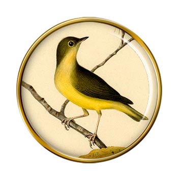 Connecticut Warbler Pin Badge