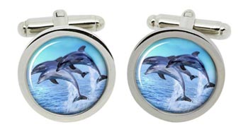 Dolphins Cufflinks in Chrome Box