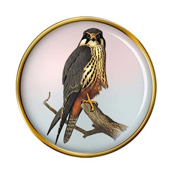 Hobby Falcon Pin Badge