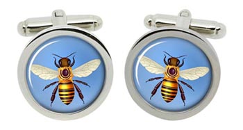 Honey Bee (Honeybee) Cufflinks in Chrome Box