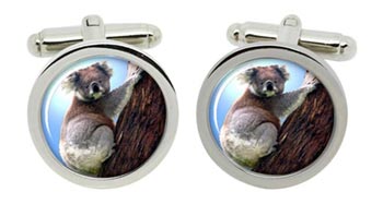 Koala Bear Cufflinks in Chrome Box