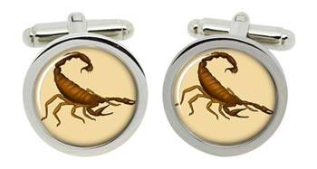 Scorpion Cufflinks in Chrome Box
