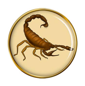 Scorpion Pin Badge