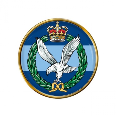 Army Air Corps AAC, British Army ER Pin Badge