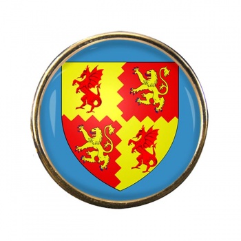 Carmarthenshire Round Pin Badge