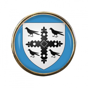 Flintshire Round Pin Badge