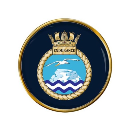 HMS Endurance, Royal Navy Pin Badge