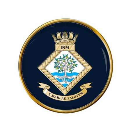 Institute of Naval Medicine, Royal Navy Pin Badge