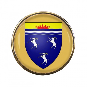 Merionethshire Round Pin Badge
