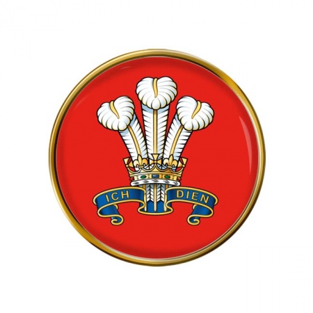 Prince Of Wales's Division, British Army Pin Badge