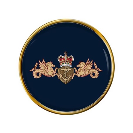 Royal Navy Surface Fleet Pin Badge