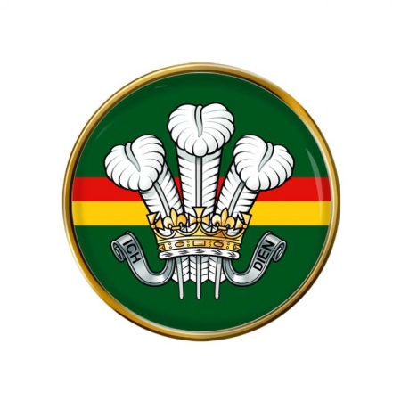 Royal Wiltshire Yeomanry (RWY), British Army Pin Badge