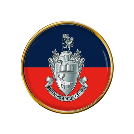 Southampton University Officers' Training Corps UOTC, British Army Pin Badge