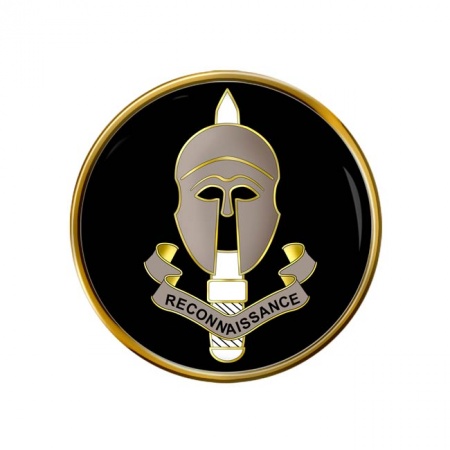 Special Reconnaissance Regiment (SRR), British Army Pin Badge