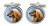Afghan Hound Cufflinks in Chrome Box