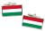 Hungary Flag Flag Cufflinks in Chrome Box