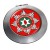 Northern Ireland Fire and Rescue Chrome Mirror