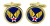 United States Army Air Force Cufflinks in Box