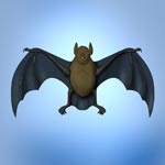 Bat