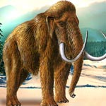 Wooly Mammoth