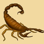 Scorpion