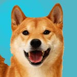 Shiba Inu