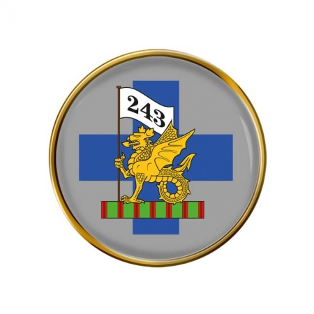 243 Field Hospital, British Army Pin Badge
