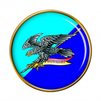 2nd Cavalry Regiment (Australian Army) Round Pin Badge