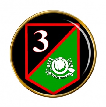 3rd Cavalry Squadron (Ireland) Round Pin Badge