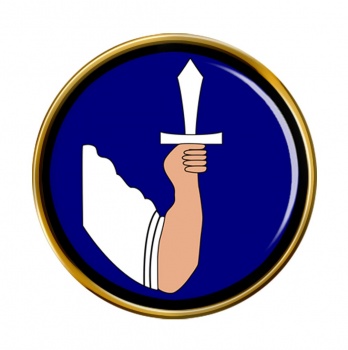 4th (Western) Brigade (Ireland) Round Pin Badge