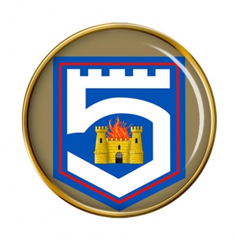 5th Infantry Battalion (Ireland) Round Pin Badge