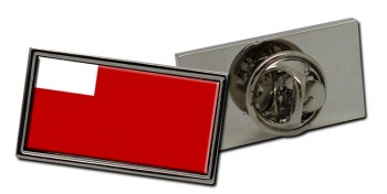 Abu Dhabi UAE Flag Pin Badge