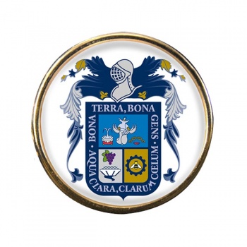 Aguascalientes (Mexico) Round Pin Badge