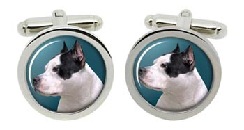 American Pit Bull Terrier Cufflinks in Chrome Box