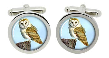 Barn Owl Cufflinks in Chrome Box