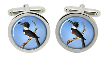 Belted kingfisher Cufflinks in Chrome Box