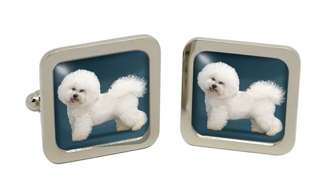 Bichon Frise Square Cufflinks in Chrome Box