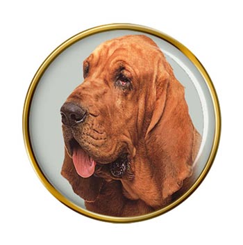 Bloodhound Pin Badge