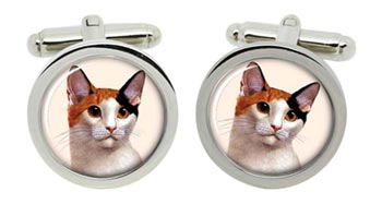 Bobtail Cat Cufflinks in Chrome Box