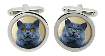 British Shorthair Cat Cufflinks in Chrome Box